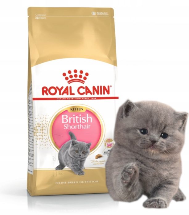 ROYAL CANIN Kitten British Shorthair 400g
