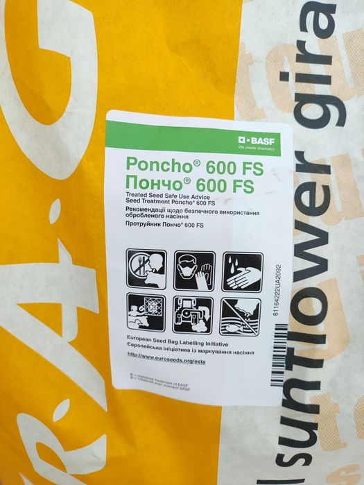 Насіння соняшника RAGT RGT WOLLF (РЖТ Волльф) Класичний Екстра плюс