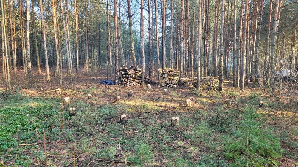 Przyłącza wodno-kanalizacyjne