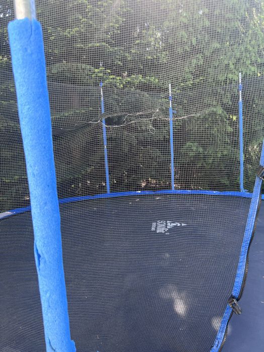 Tramplolina duża dziecięca