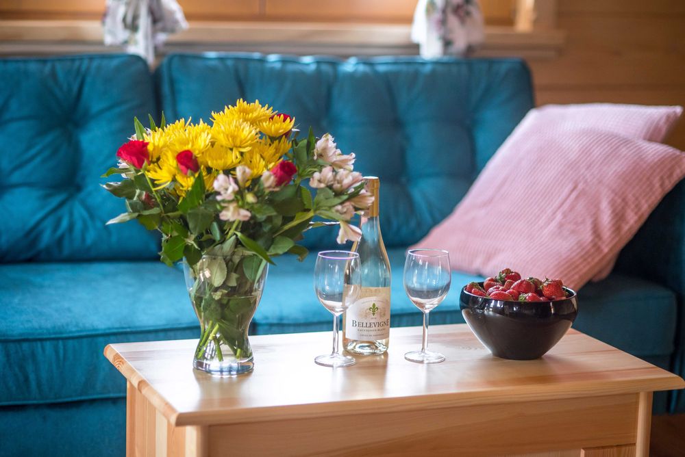 Domek w Górach  na  FERIE ZIMOWE  z balią, sauną, wanną z hydromasażem