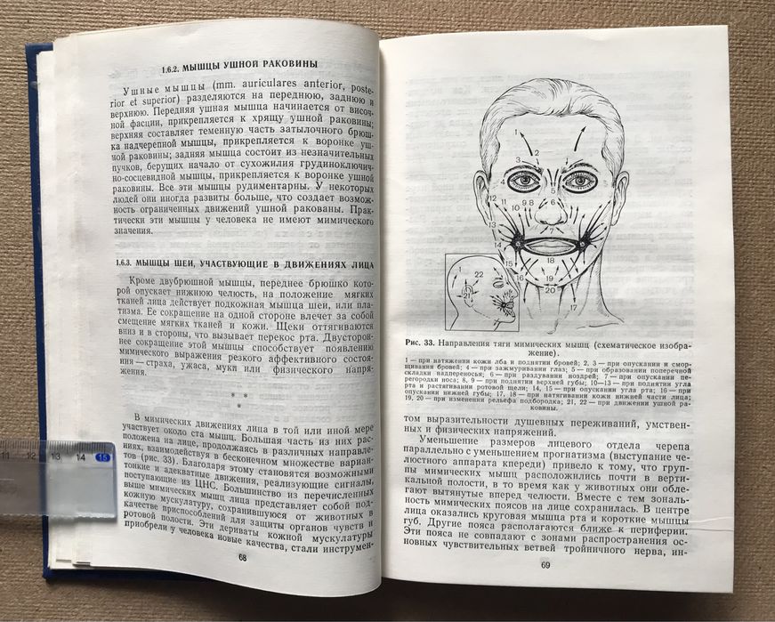 Лицо человека: анатомия,мимика. В.В. Куприянов , Г.В. Стовичек