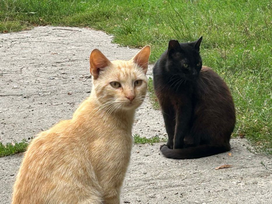 Marznę i czekam. Chcę żyć.