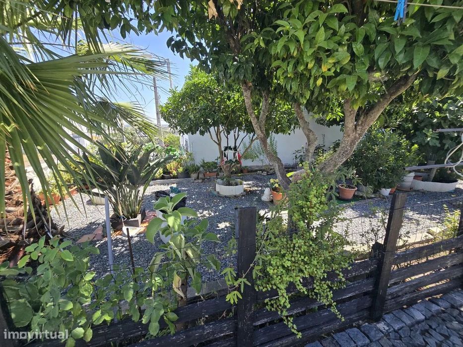 Moradia com Quintal em Zona Tranquila de Beja – Espaço, Luz e Potencia