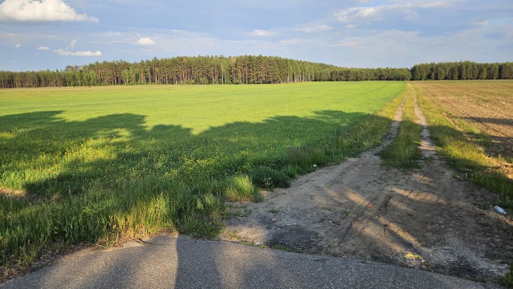 Sprzedam  nieruchomość rolną Jednorozec - Widok 4
