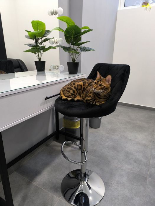 Оренда робочого місця для перукаря, майстра з манікюру, б'юті-майстра