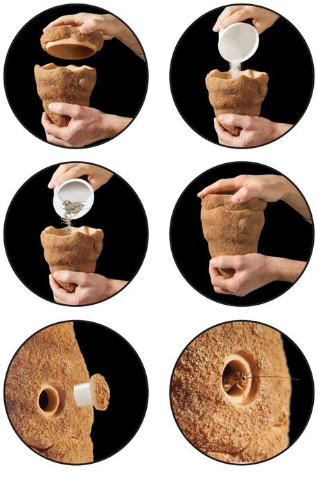 Comedouro Alimentador Para Répteis Termite Hill Exo Terra