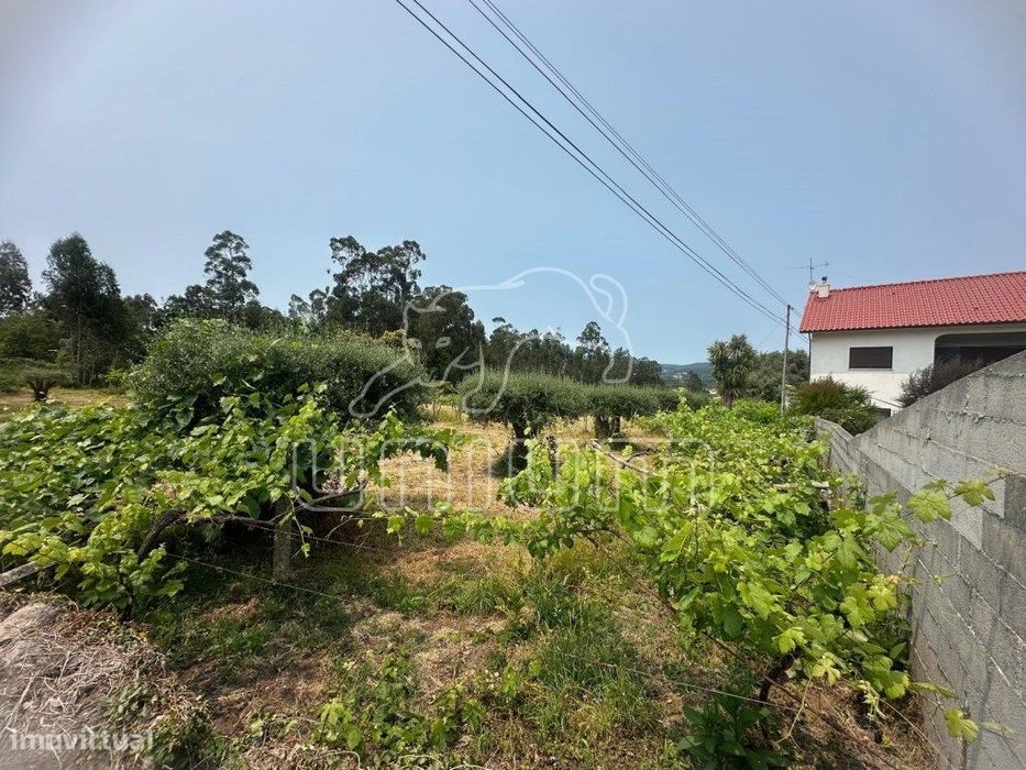 Terreno Agrícola - Vila Franca