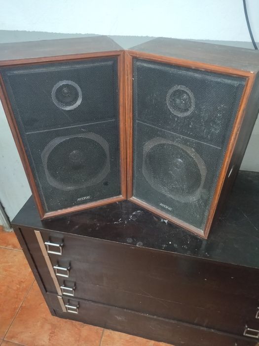 Vendo culonas japonêsas rasing