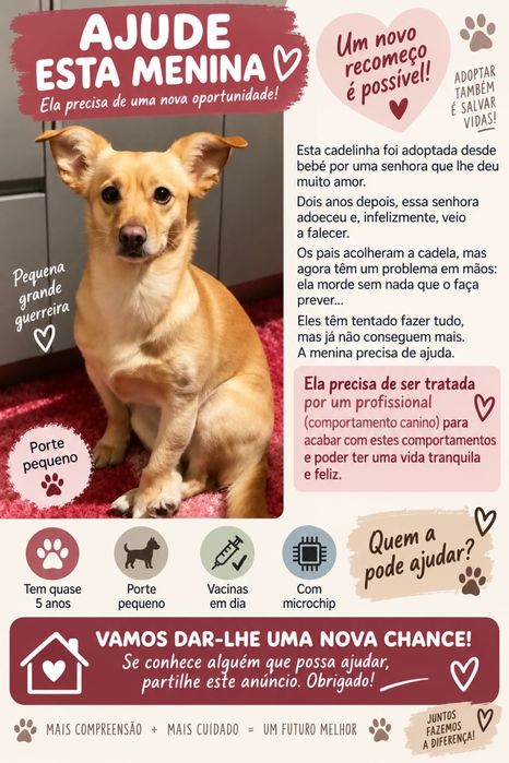 Cadela para adoção responsável