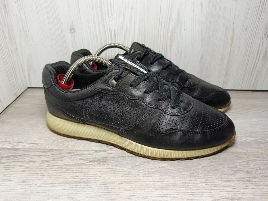 Ecco.                         .