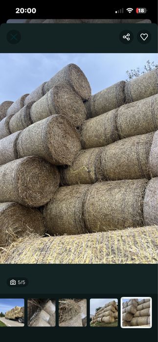 Siano bele 120x120 dla koni owiec bydla z transportem