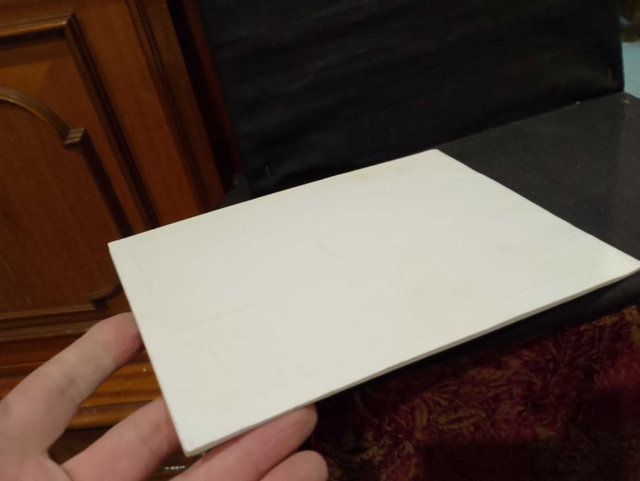 Pintura de Pedro Olayo (Filho)