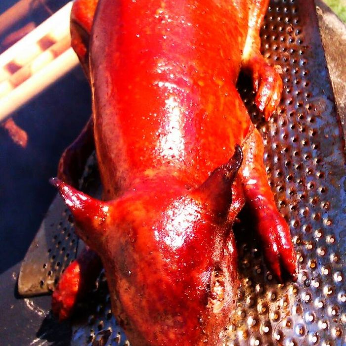 Продам домашніх поросят