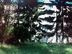 Продам будинок з цільовим призначенням під медичний центр