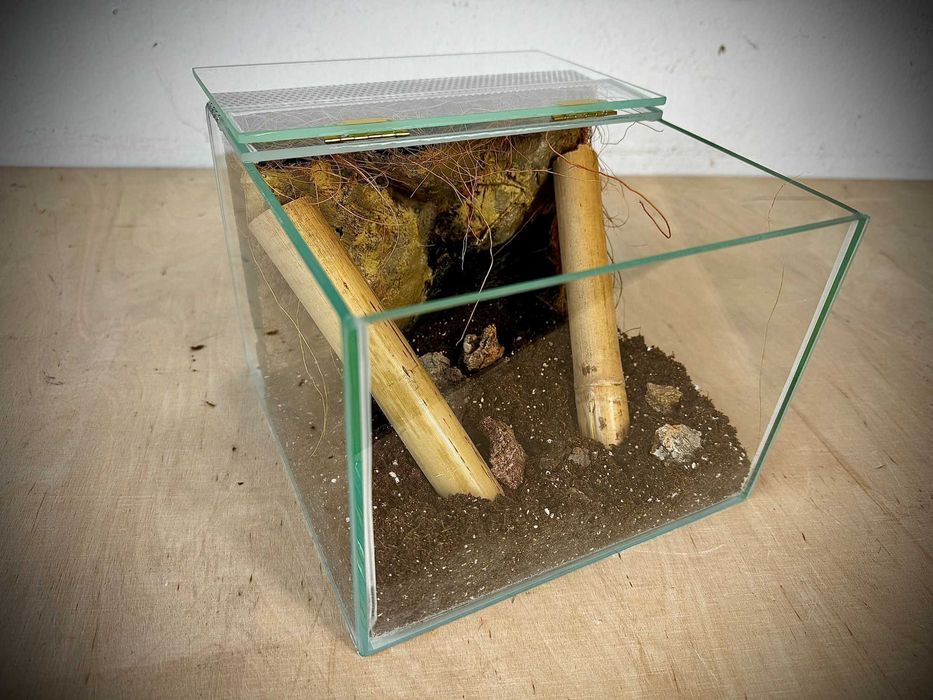 Terrarium szklane z wystrojem 20x20x15 cm. Zawias AlleTerra
