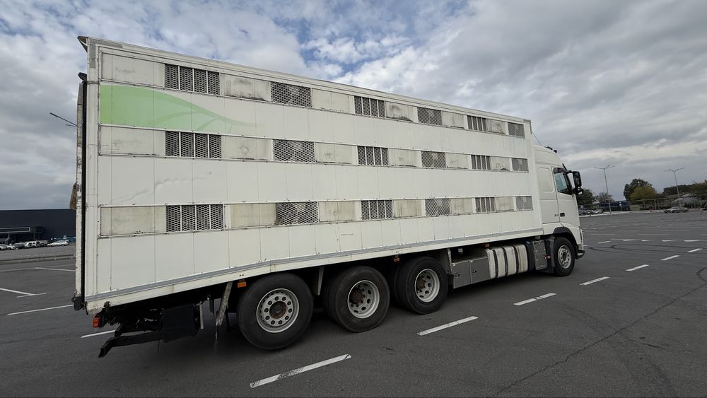Volvo FH 540 скотовоз