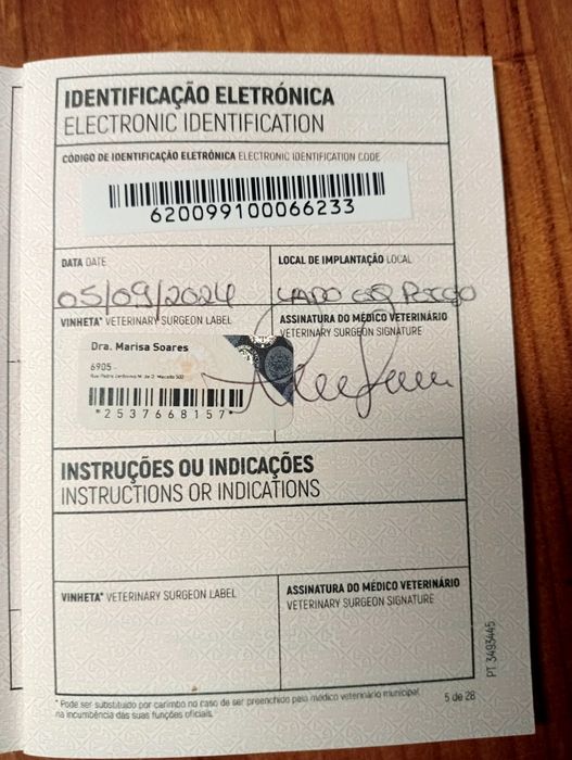 Pastor belga malinois