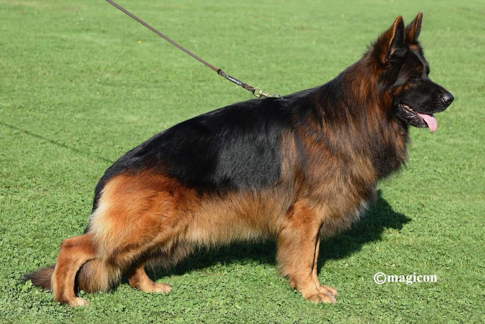 Щастя яке можна придбати