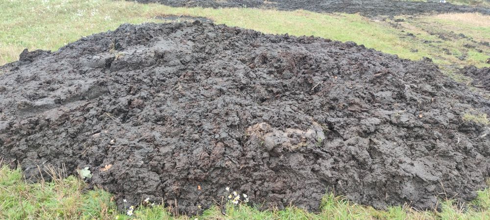 Torf bardzo dobrej jakości sama próchnica.