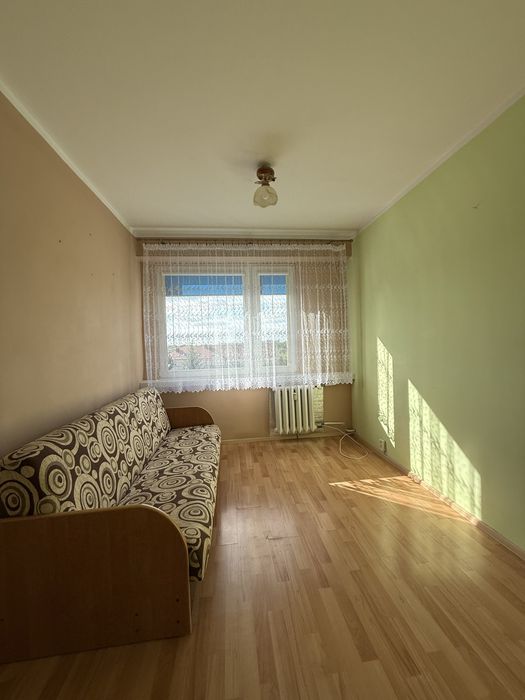 Zdjęcie 3