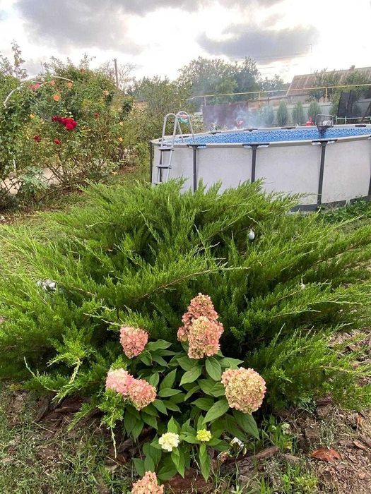 House by the address st. Lyustdorfskaya dor Chernomorskaya dor (area 98 m²) - Atlanta.ua - photo 22