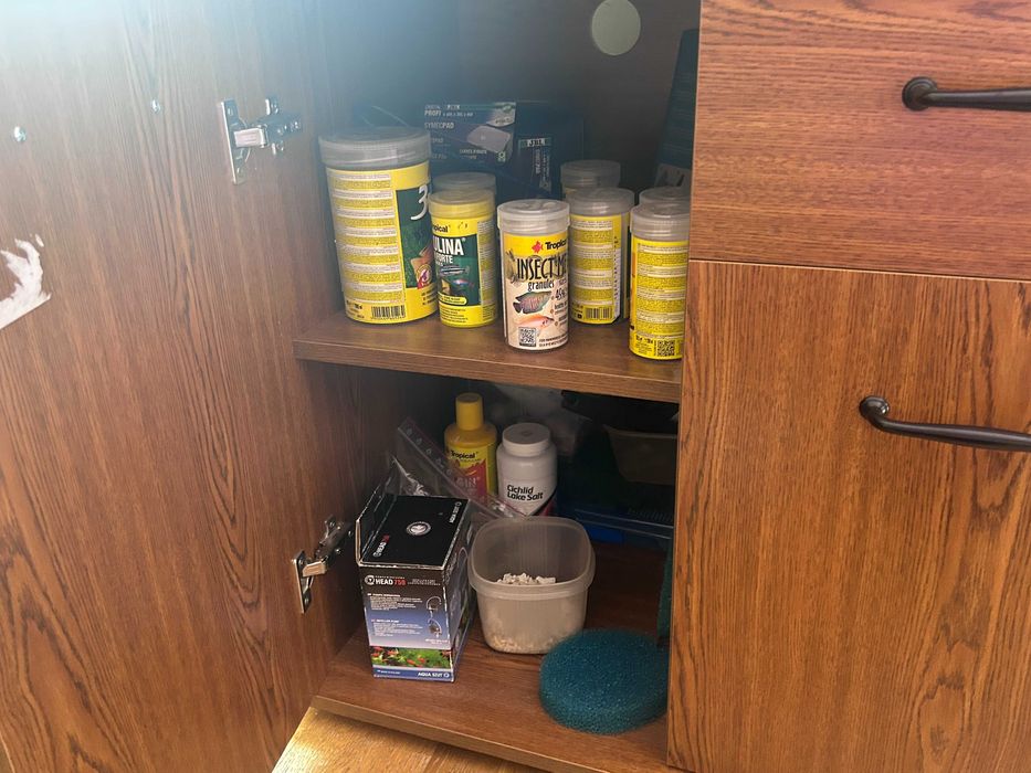 Akwarium kompletne z życiem