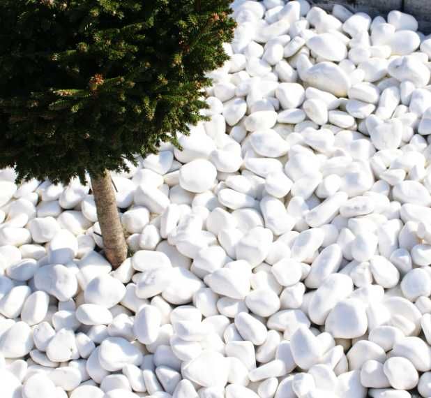 Dalmatyńczyk, granit, marianna, kamień ogrodowy, otoczak, thassos grys