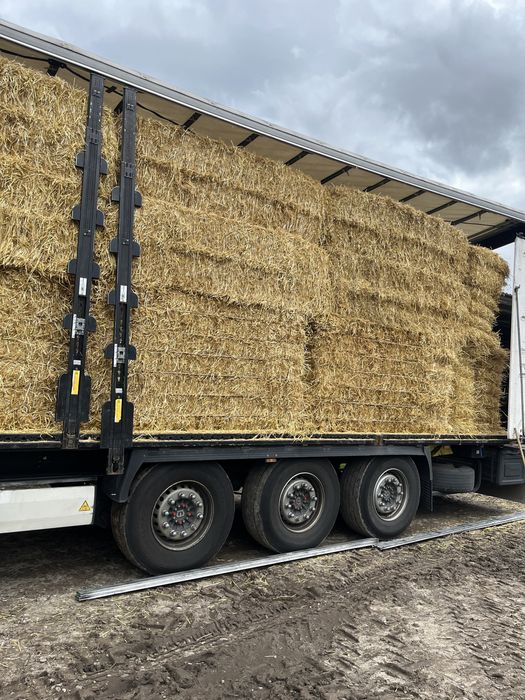 Słoma duza kostka z transportem lub bele