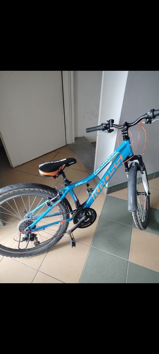 Rower Kross Hexagon 24 "