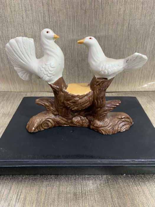 Парочка голубів, голуби