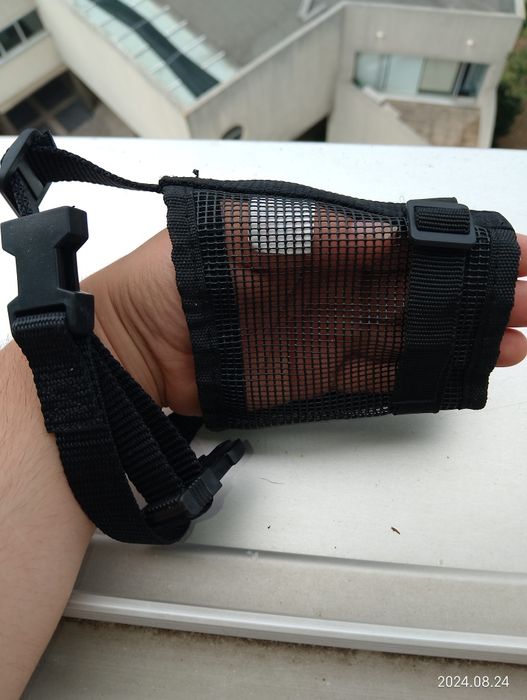 Trela extensível e açaime