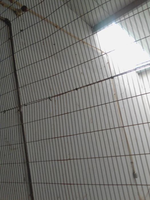 Box 4 metros por 3 mensal