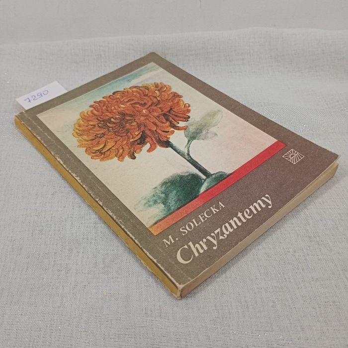 Chryzantemy. Maria Solecka