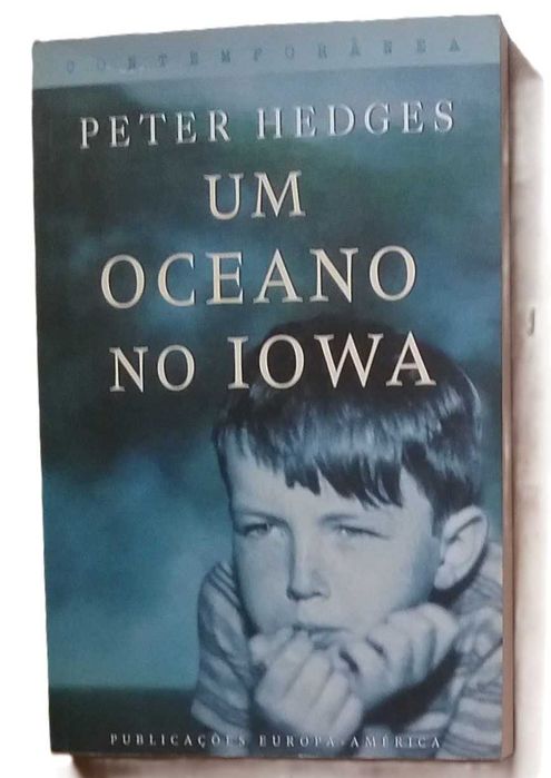Um Oceano no Iowa, de Peter Hedges