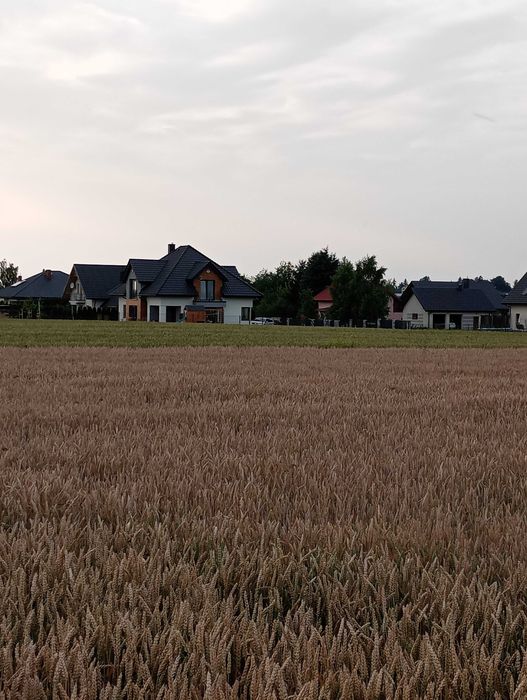 Działka budowlana w Kalinówce 900 mkw koło Lublina - Widok 3