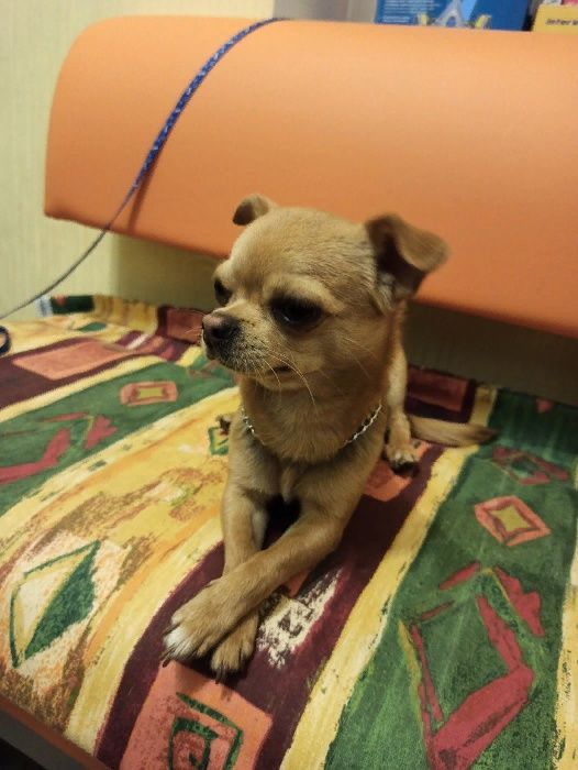 Кабель для вязки