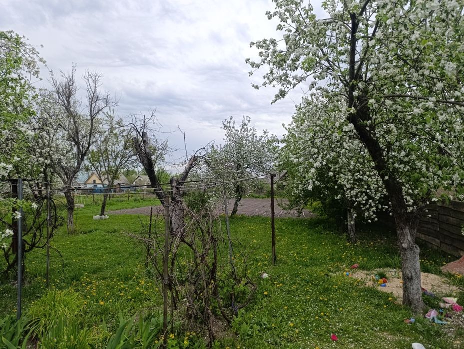 Подається будинок