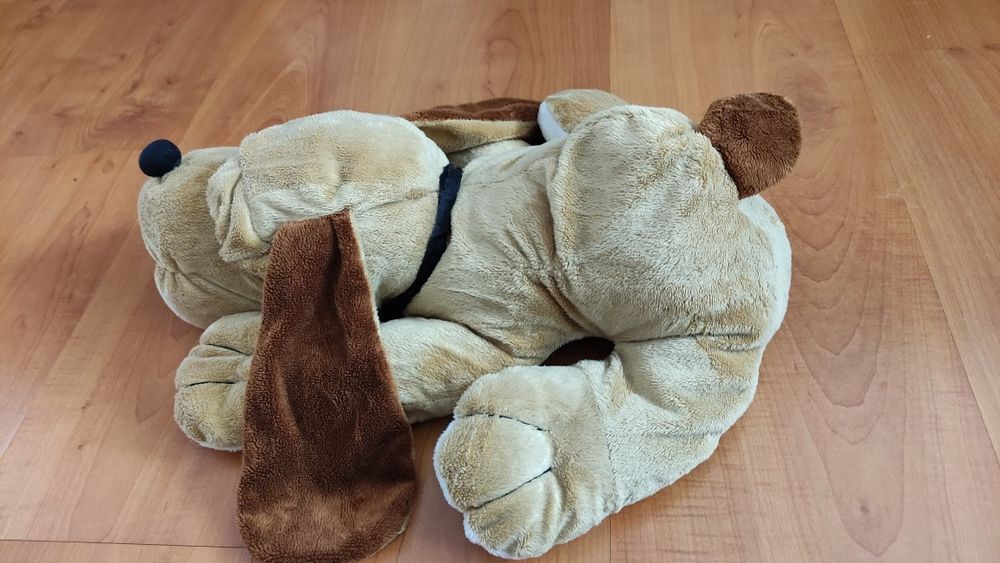 Peluches cão, conjunto de dois