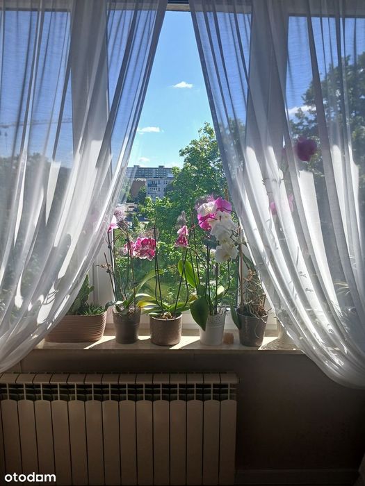 1-pokojowe mieszkanie po generalnym remoncie | Metro Bródno | 28 m² | - Widok 2
