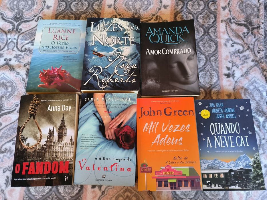 Lote de livros em português