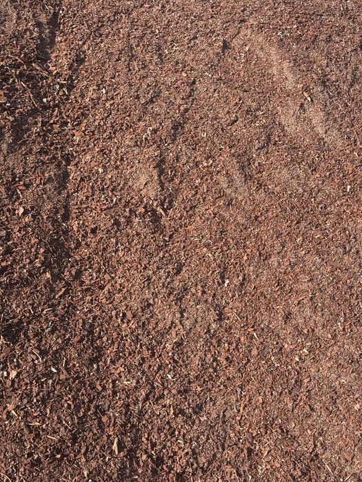 Casca de Pinho - Mulch