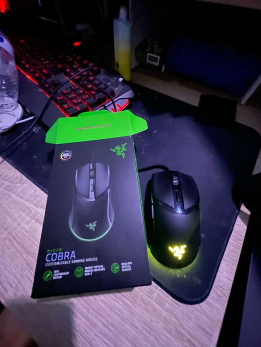 Um Rato de computador