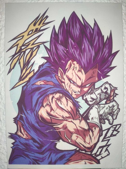 Tela de Vegeta de Dragon Ball