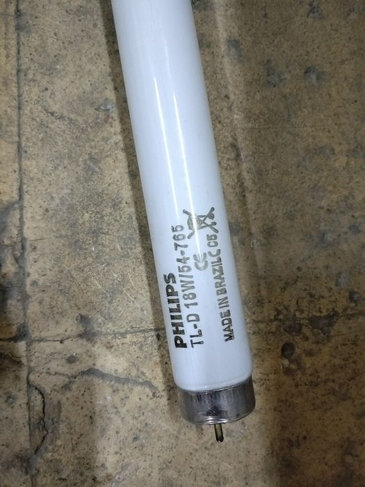 Philips Light Bulbs509317877974978564