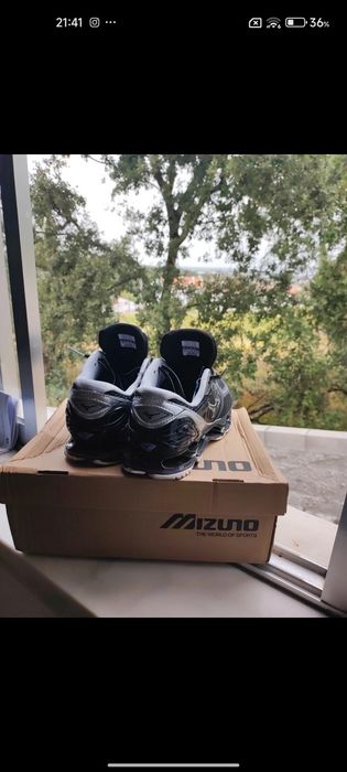 Mizuno wave profecy
