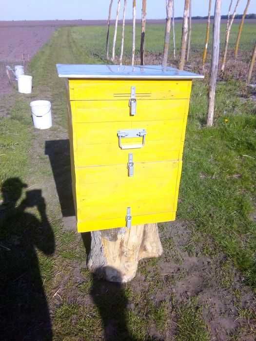 Вулики корпусні нові