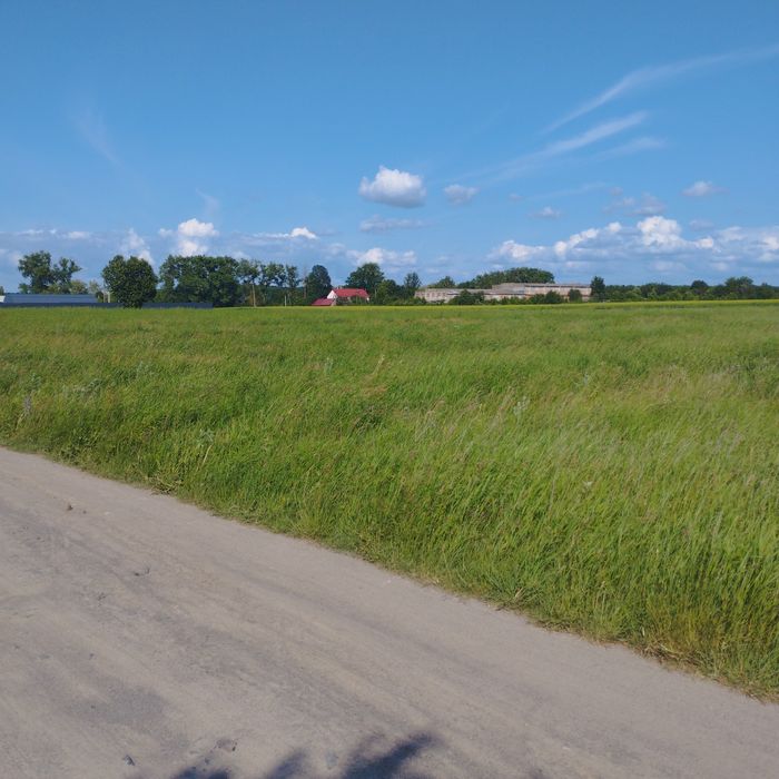 ділянка 20 соток  некрасово