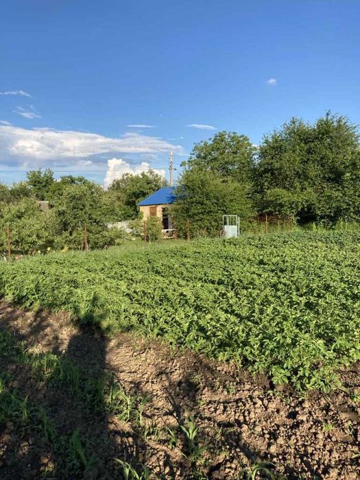 Земельна ділянка 16 соток