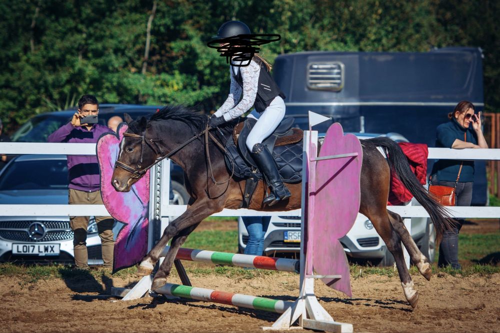 Przyszłościowy kuc feliński